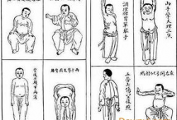 八段锦视频口令,轻松养生，健康生活新体验