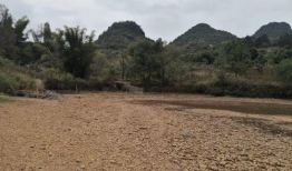 久久青草视频,一场别开生面的视频之旅