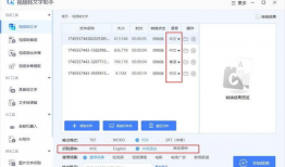 视频转文本,一窥全貌