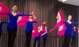 古典舞蹈视频,探寻历史长河中的艺术瑰宝