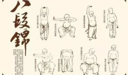 八段锦视频口令,轻松养生，健康生活新体验