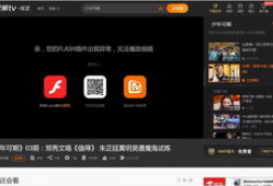 视频播放不了,视频播放故障排查指南