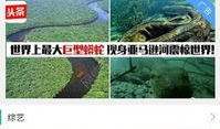 你懂的视频在线,揭秘热门视频背后的故事与技巧