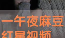 午夜免费观看视频,畅享视听盛宴！